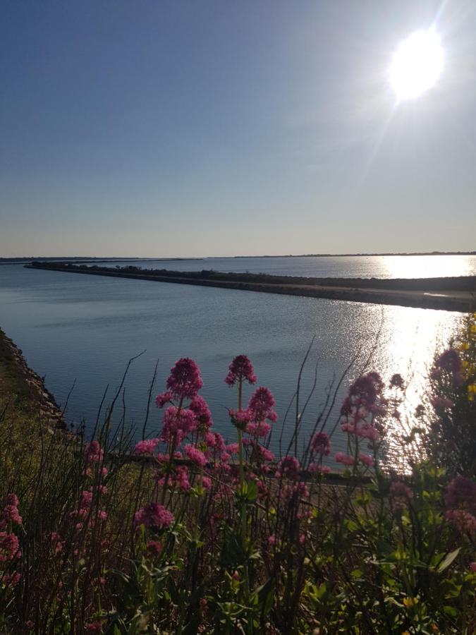 La Rose Des Sables, T2 A La Mer, Terrasse Et Garage فرونتينيان المظهر الخارجي الصورة