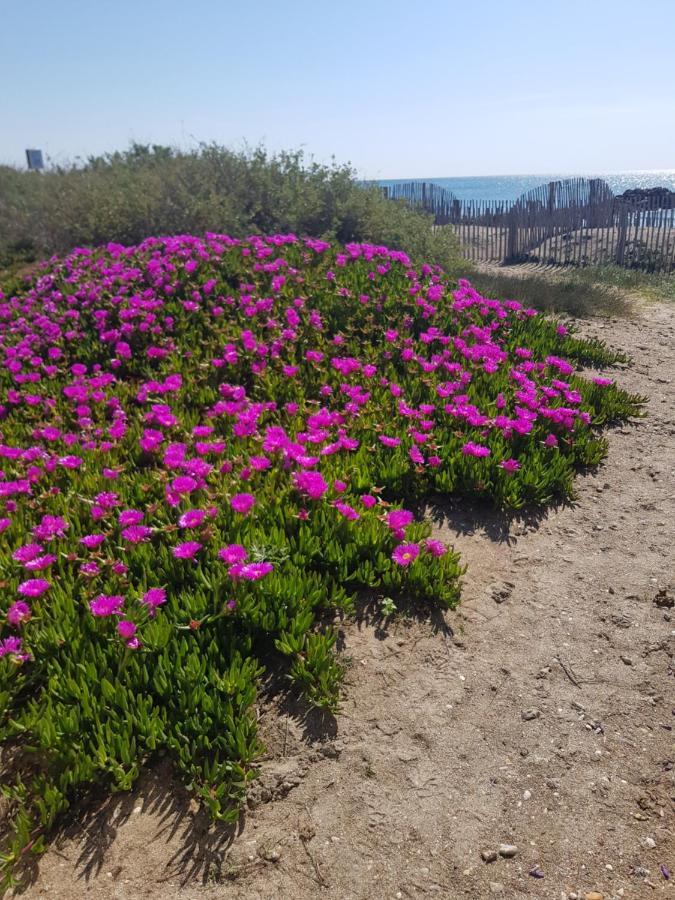 La Rose Des Sables, T2 A La Mer, Terrasse Et Garage فرونتينيان المظهر الخارجي الصورة